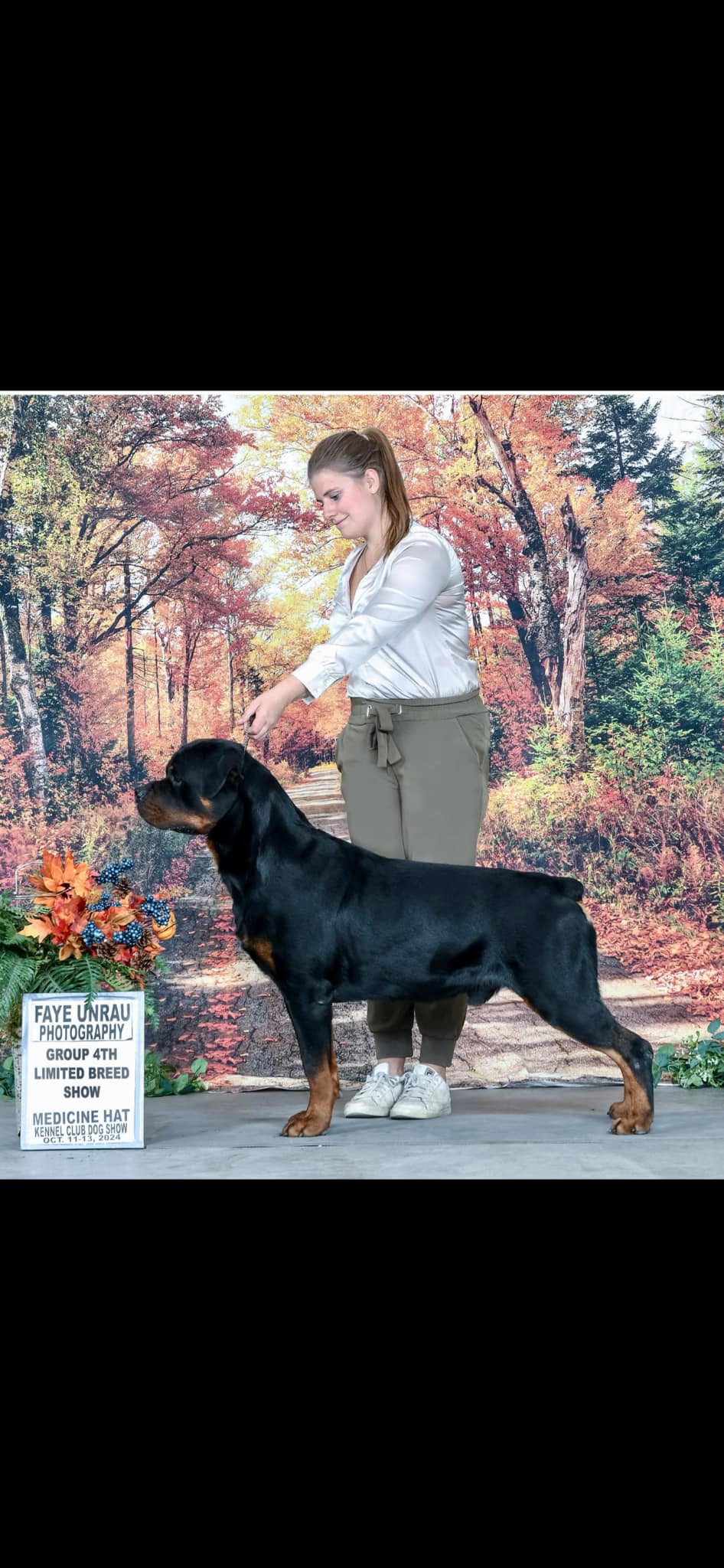 Enter the Show Kennel